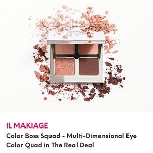 ⭐️IL makiage color boss squad. Awesome neutral colors awesome case.Love this one